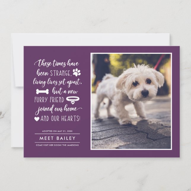 Cartes Pour Fêtes Annuelles Strange Times New Pet Photo Faire-part| Plum (Devant)