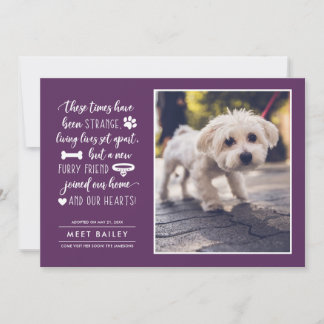 Cartes Pour Fêtes Annuelles Strange Times New Pet Photo Faire-part| Plum