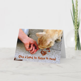 Cartes Pour Fêtes Annuelles Stray Cat Hawaii Abri Animaux domestiques