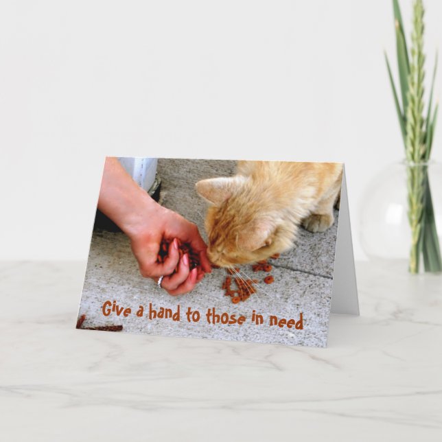 Cartes Pour Fêtes Annuelles Stray Cat Hawaii Abri Animaux domestiques (Devant)