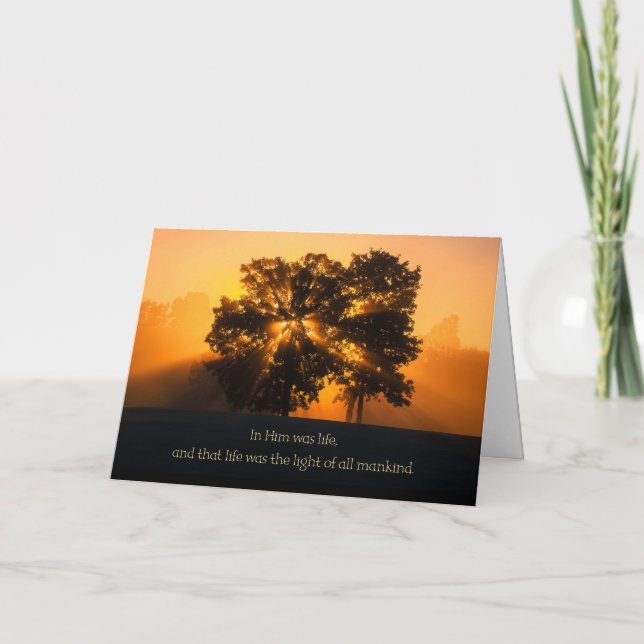 Cartes Pour Fêtes Annuelles Streaming Christmas Light (Devant)