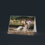 Cartes Pour Fêtes Annuelles Style australien Kangaroos de Noël<br><div class="desc">Cette drôle de photo montre un voeu de Noël australien unique. Mama kangaroo porte un chapeau de Père Noël rouge et blanc, tandis que le bébé Joey porte des cloches de jingle rouge vif autour du cou. Texte dit "Joyeux Noël" et à l'intérieur de la carte est complètement personnalisable pour...</div>