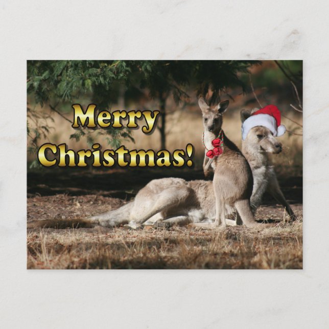 Cartes Pour Fêtes Annuelles Style australien Kangaroos de Noël (Devant)