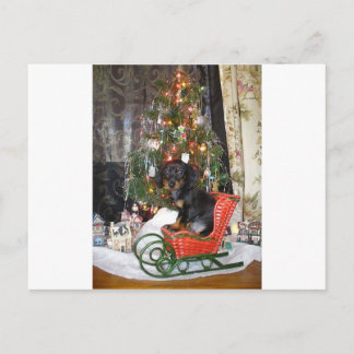 Cartes Pour Fêtes Annuelles Style Dachshund de Noël