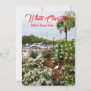 Cartes Pour Fêtes Annuelles Style Hilton Head de Noël Blanc ! Caroline du Sud