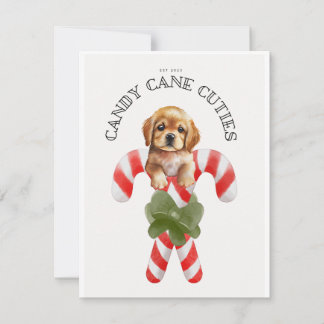 Cartes Pour Fêtes Annuelles Sucre de canne Cuties Chien