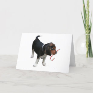 Cartes Pour Fêtes Annuelles Sucre de canne de Noël beagle Chiot