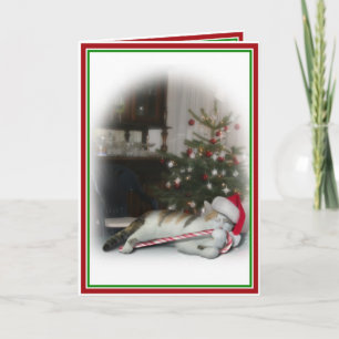 Cartes Pour Fêtes Annuelles Sucre de canne Kitty Noël