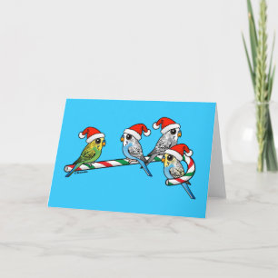 Cartes Pour Fêtes Annuelles sucre de canne Père Noël Budgies