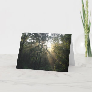 Cartes Pour Fêtes Annuelles Sunburst in the Trees All Occasion Card (Vierge)