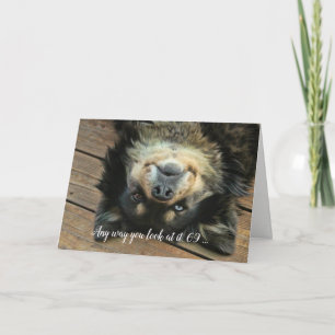 Cartes Pour Fêtes Annuelles Super Cute Aussie Dog Funny