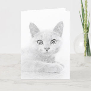 Cartes Pour Fêtes Annuelles Super mignon Scottish Fold Kitten Chat