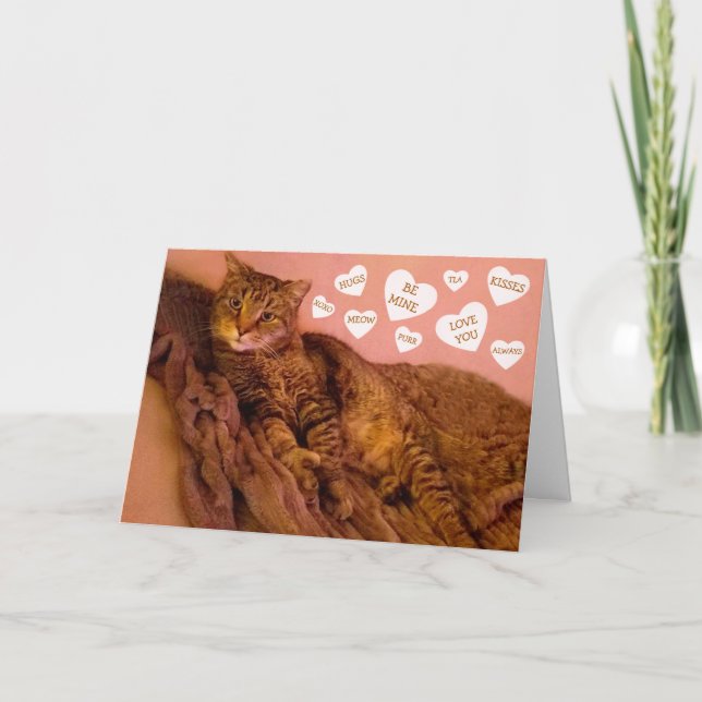 Cartes Pour Fêtes Annuelles Super Romantique Chat Drôle Saint Valentin (Devant)