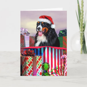 Cartes Pour Fêtes Annuelles Surprise de Noël de chien de montagne de Bernese