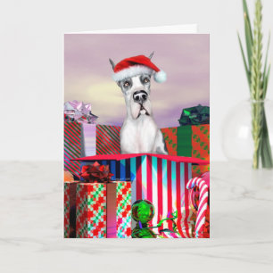 Cartes Pour Fêtes Annuelles Surprise de Noël du Grand Danois Harlequin