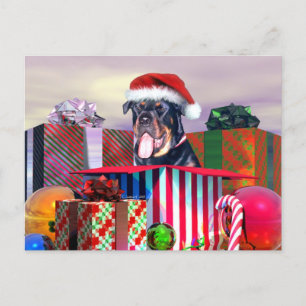 Cartes Pour Fêtes Annuelles Surprise de Noël Rottweiler