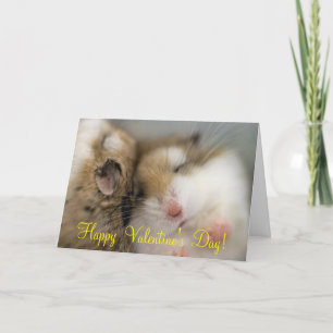 Cartes Pour Fêtes Annuelles Survolez la Saint Valentin de Bob