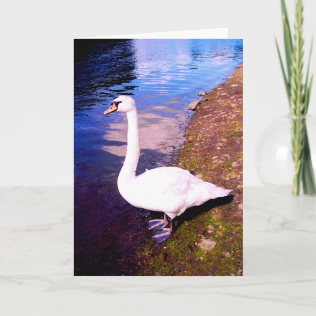 CARTES POUR FÊTES ANNUELLES SWAN (Devant)