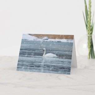 Cartes Pour Fêtes Annuelles Swan nage dans les conditions hivernales de neige