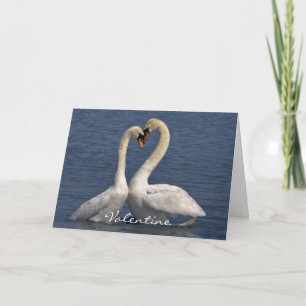 Cartes Pour Fêtes Annuelles Swans à Love Card