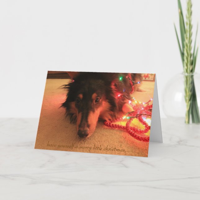 Cartes Pour Fêtes Annuelles Sweet Collie Noël, Amusez-vous très joyeux (Devant)