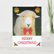 Sweet Holiday Sheep & Bow Cravate Christmas Card