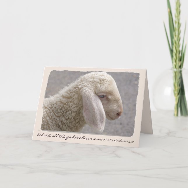 Cartes Pour Fêtes Annuelles Sweet Little Lamb Texte personnalisé Pâques/Printe (Devant)