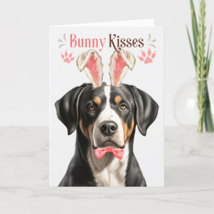 Cartes Pour Fêtes Annuelles Swiss Mountain Dog Bunny Ears pour Pâques