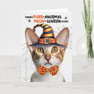 Cartes Pour Fêtes Annuelles Tabby à air court oriental PURRanormal MEOWolween