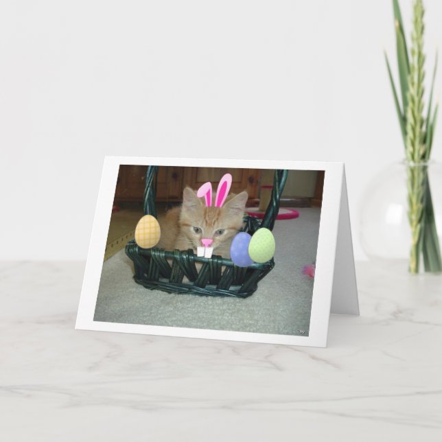 Cartes Pour Fêtes Annuelles Tabby à Kitty Chat de Pâques (Devant)
