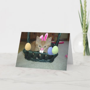 Cartes Pour Fêtes Annuelles Tabby à Kitty Chat de Pâques