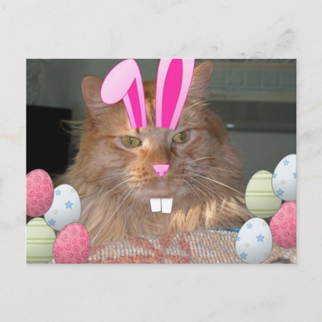 Cartes Pour Fêtes Annuelles Tabby à Kitty Chat de Pâques (Devant)