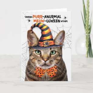 Cartes Pour Fêtes Annuelles Tabby Brown Halloween Chat PURRanormal MEOWolween