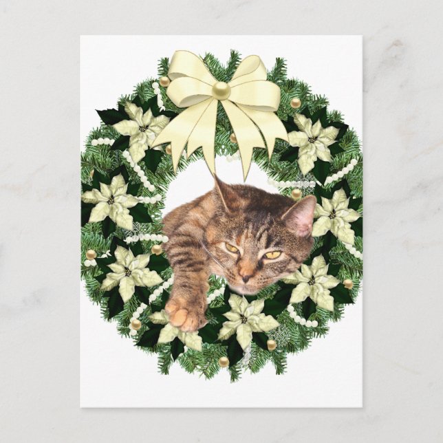 Cartes Pour Fêtes Annuelles Tabby Brown Noël (Devant)