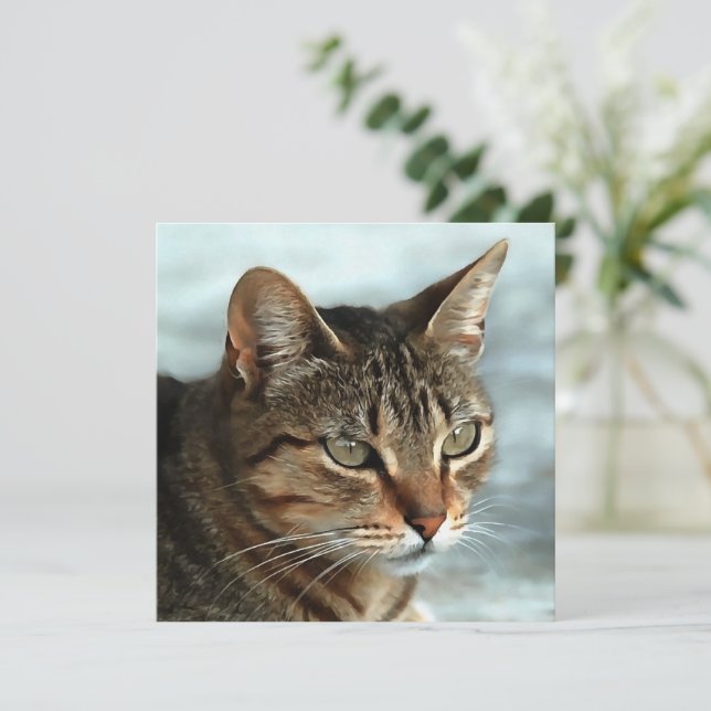Cartes Pour Fêtes Annuelles Tabby Cat étonnant FermerPortrait Artistique (Debout devant)
