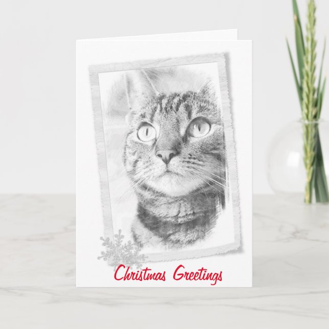 Cartes Pour Fêtes Annuelles Tabby Cat Sketch (Devant)