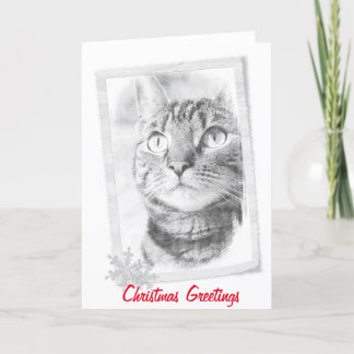 Cartes Pour Fêtes Annuelles Tabby Cat Sketch