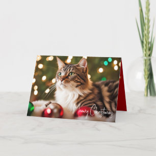 Cartes Pour Fêtes Annuelles Tabby Chat Avec Ornements De Noël