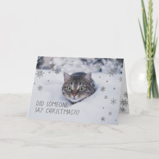Cartes Pour Fêtes Annuelles Tabby Chat en flocons de neige blanche