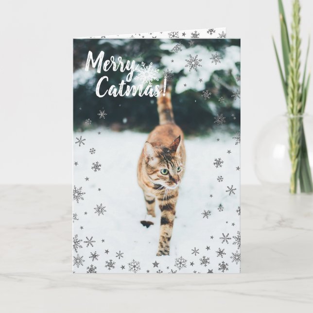 Cartes Pour Fêtes Annuelles Tabby de Noël Cute Chat dans la neige (Devant)