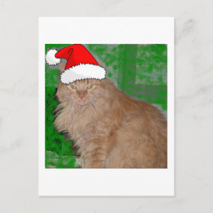 Cartes Pour Fêtes Annuelles Tabby de Noël Orange Kitty Chat