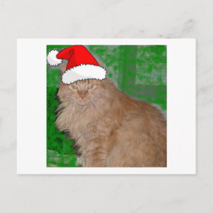 Cartes Pour Fêtes Annuelles Tabby de Noël Orange Kitty Chat