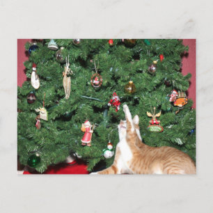 Cartes Pour Fêtes Annuelles Tabby et sapin de Noël