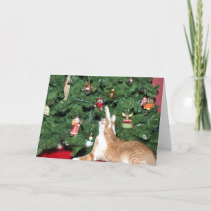 Cartes Pour Fêtes Annuelles Tabby et sapin de Noël