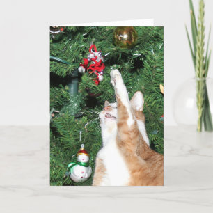 Cartes Pour Fêtes Annuelles Tabby et sapin de Noël