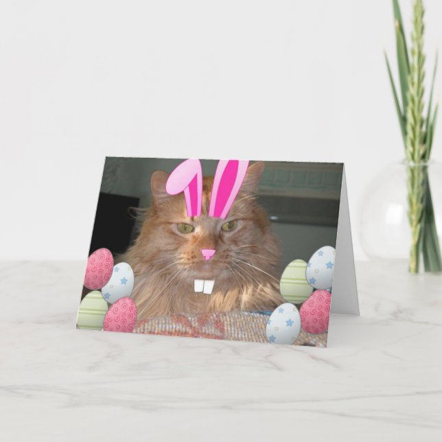 Cartes Pour Fêtes Annuelles Tabby-Kitty Chat de Pâques (Devant)