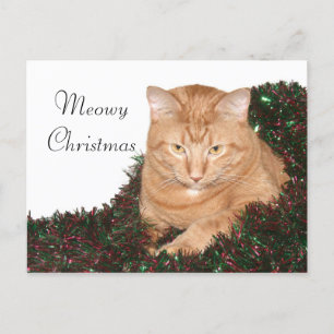 Cartes Pour Fêtes Annuelles Tabby orange Noël
