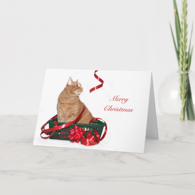 Cartes Pour Fêtes Annuelles Tabby orange Noël (Devant)