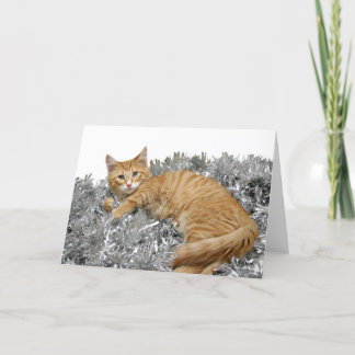 Cartes Pour Fêtes Annuelles Tabby orange Noël
