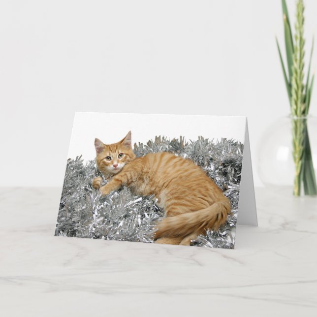 Cartes Pour Fêtes Annuelles Tabby orange Noël (Devant)